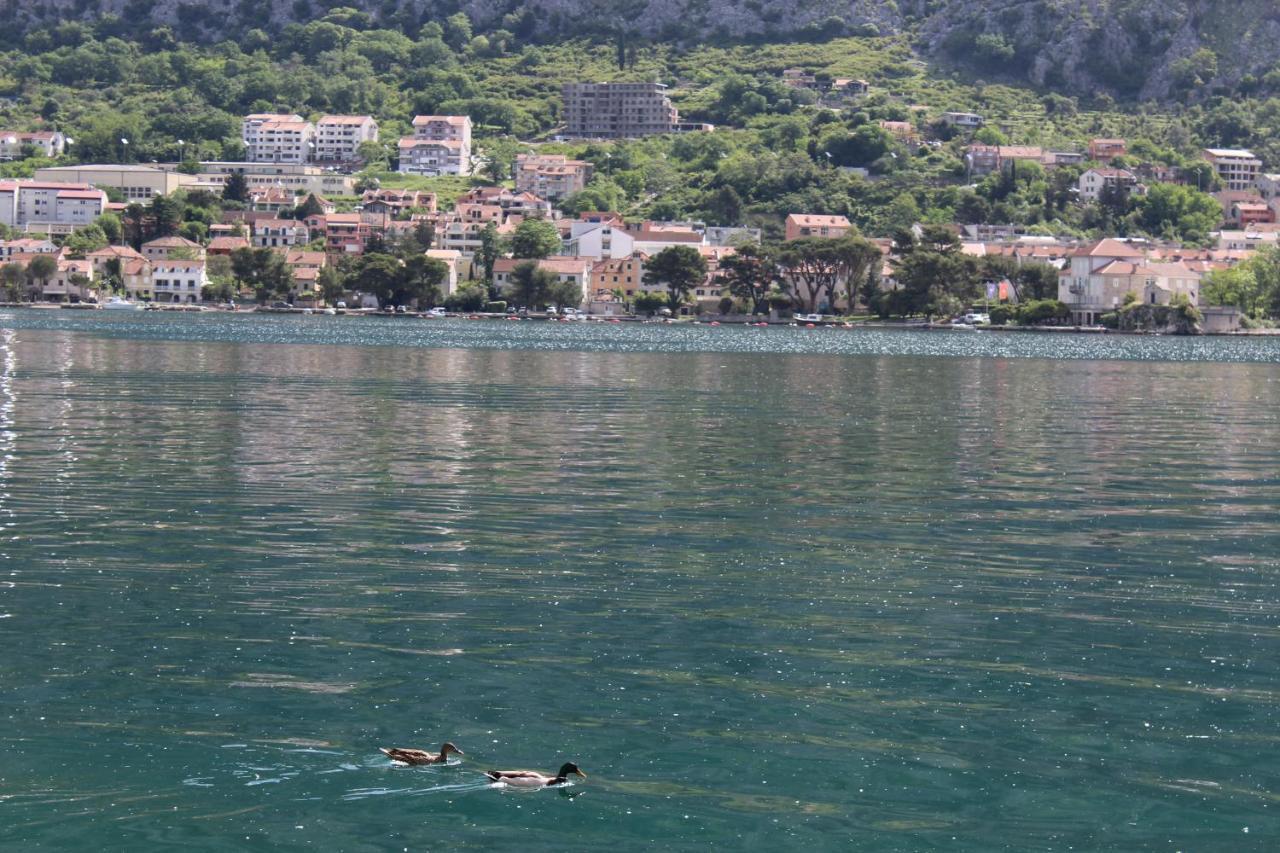 Apartamento Mare E Montagna Kotor Exterior foto